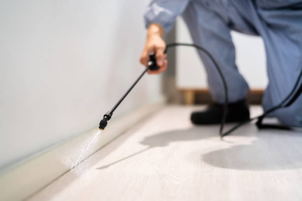 Licensed Mosquito Control service in Panama City Beach, FL - Show Me Pest Control