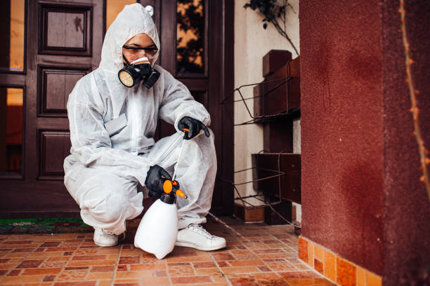 Reliable Mosquito Control contractor in Panama City Beach, FL by Show Me Pest Control